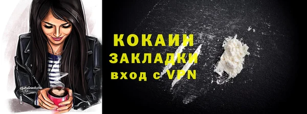 шишки Абинск