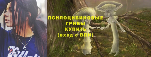 шишки Абинск