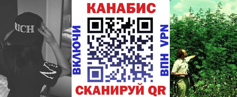 Бошки Шишки планчик Дубовка